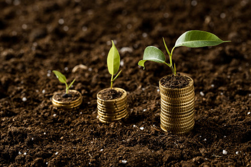 monedas con plantas sobre tierra